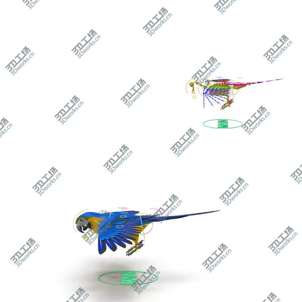 images/goods_img/20210312/Blue and Gold Macaw Rigged/5.jpg